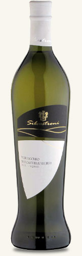 Casa vinicola Silvestroni - Anfora