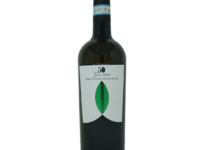 Verdicchio d.o.c. 50S